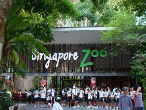 It’s One of the Best! The Singapore Zoo