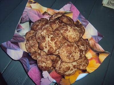 Snickerdoodles!