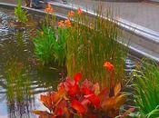 Friday Beside Hudson