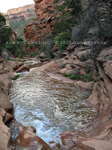 2011 - May 11th - Ladder Canyon/Mica Mine & Middle Rough Canyon, Bangs Canyon Special Recreation Management Area