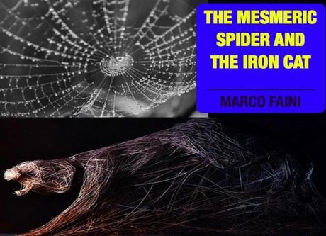 The Mesmeric Spider and the Iron Cat