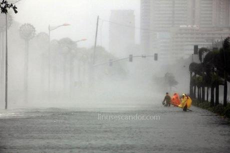 Typhoon Pedring (international codename: Nesat)