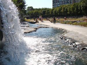 A Stream in Seoul