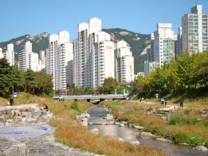 A Stream in Seoul