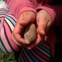 The Pet Rock