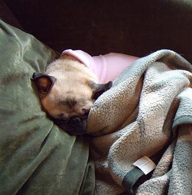Sleepy Time Princess