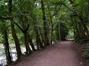 Walk Along River Symonds Ross-on-Wye