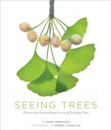 Seeing Trees – Book Review