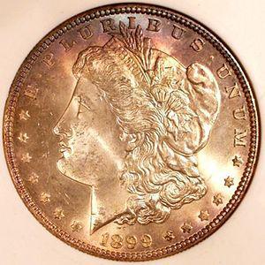 1899 Morgan Silver Dollar obverse