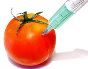 genetically engineered foods
