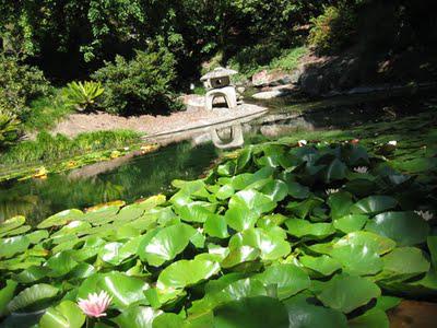 UC Botanical Garden, Berkeley:  A Plant Lover's Paradise