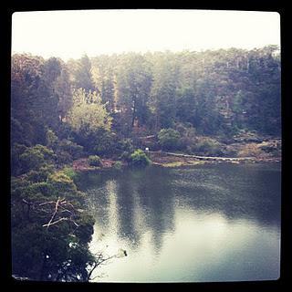 A Date with Nature... and a boy