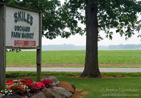 Indiana Apple Orchard: Skiles Orchard and Farm Market in Rossville, Indiana