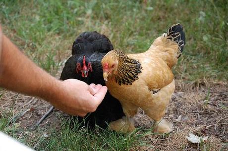 Gail and Goldie