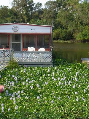 Cajun maisons