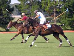 Polo How to Make the Most of your Weekends in Buenos Aires