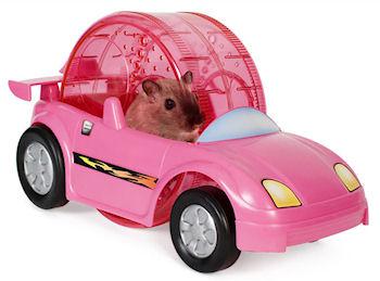 Hamster Racer Set