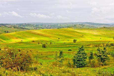 Romanian Folksong. An Expedition into the Cultural Delta of Oţelul Galaţi