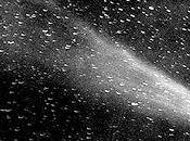 Comet Have Earth's Oceans