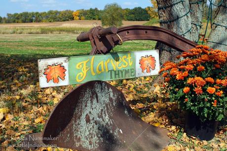 Harvest Tyme Pumpkin Patch in Lowell, Indiana