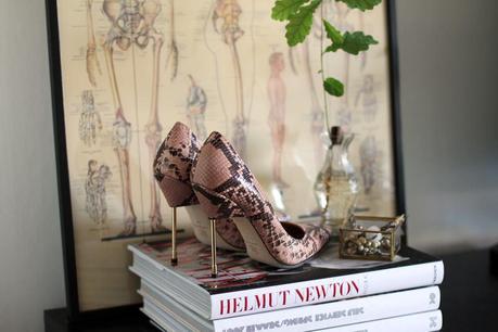 Shoes Glorious Shoes