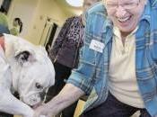 Therapy Spreads Paw-sitive Vibe