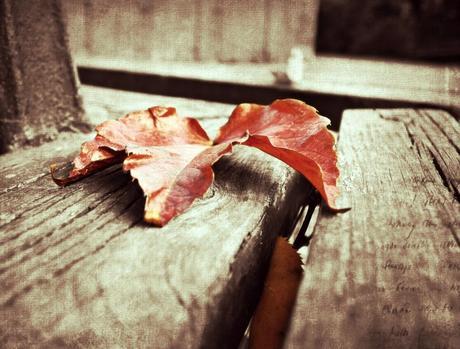Shadows are not all darkness Shadows are not all darkness