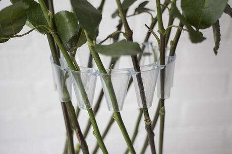 best of the best best of the best