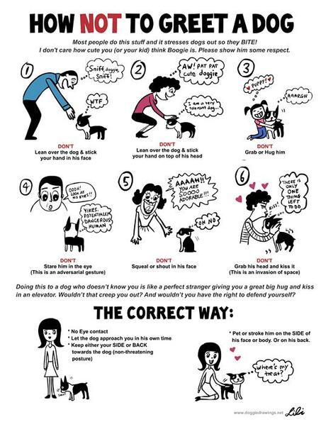 dog training tips