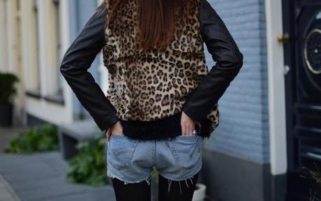 vintage levis denim shorts leopard