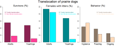 CB_Translocation_Figure