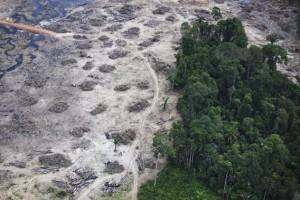 Construction of the Belo Monte Dam project, near Altamira. Photo by © Greenpeace/Daniel Beltra.. 