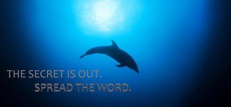 Want to hear a real life horror story? The dolphin slaughter is still happening #StopTheSlaughter  http://thndr.it/15A8D8A