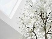 Inspiration Board Skylight