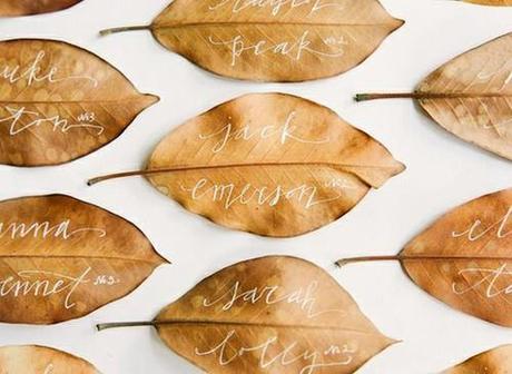 fall leaves as place names