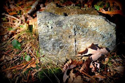 Miss Birdie in the Graveyard