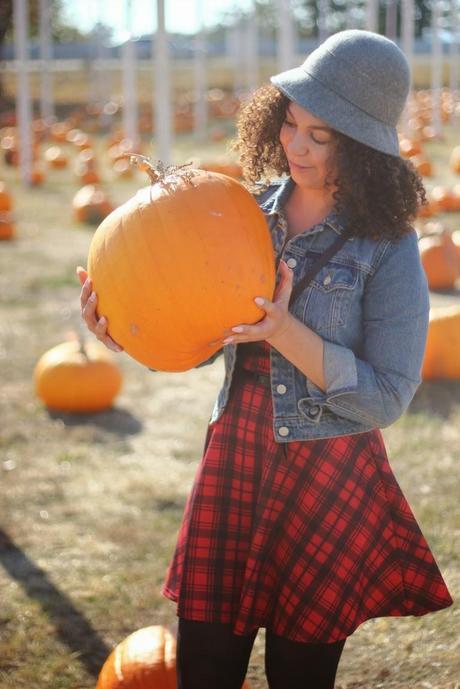 Pumpkin Patch Pumpkin Patch