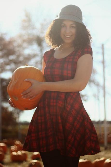 Pumpkin Patch Pumpkin Patch