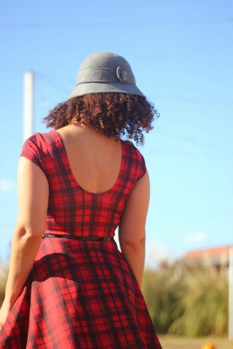 Pumpkin Patch Pumpkin Patch