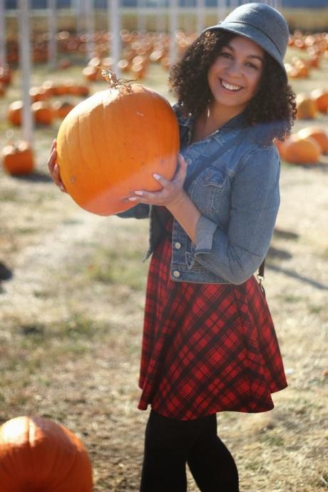 Pumpkin Patch Pumpkin Patch