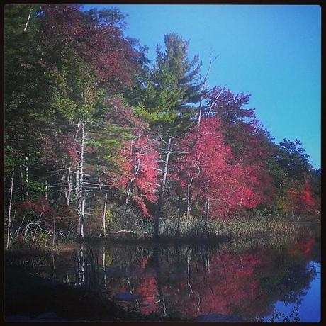 Great start to #October #fall #autumn #NewEngland #nature