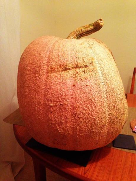 giant pumpkin homegrown allotment five stone weight halloween