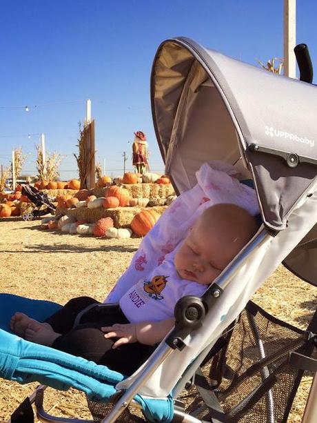 Happy Halloween!  Our trip to the pumpkin patch...