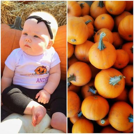 Happy Halloween!  Our trip to the pumpkin patch...