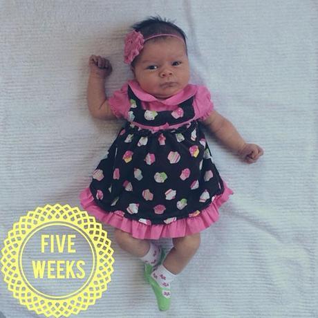 Five Weeks & A Great Opportunity For Small Businesses!!