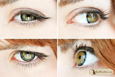 GEO XTRA Flower Lotus Brown WFL-A14 Circle Lens Review