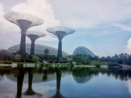 Second trip to Gardens by the Bay