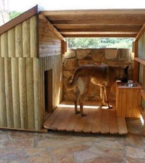 warm dog houses