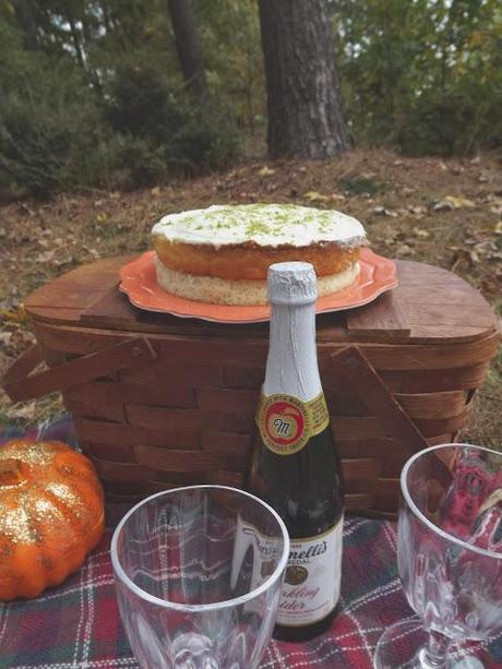 {How To Throw A Holiday Themed Picnic}