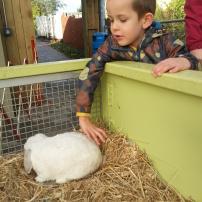 Finally mastering the tractors!